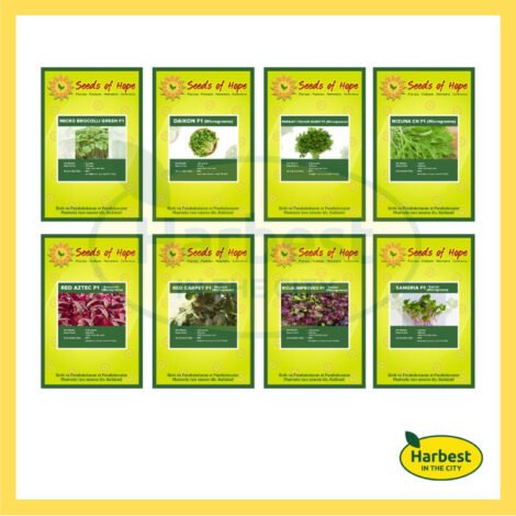 Ph 11134207 7ras8 m3lckyqiurdj0f.jpeg