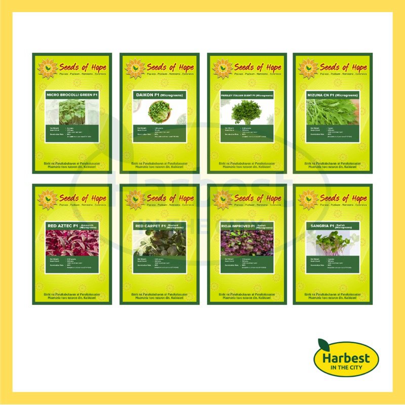 Ph 11134207 7ras8 m3lckyqiurdj0f.jpeg