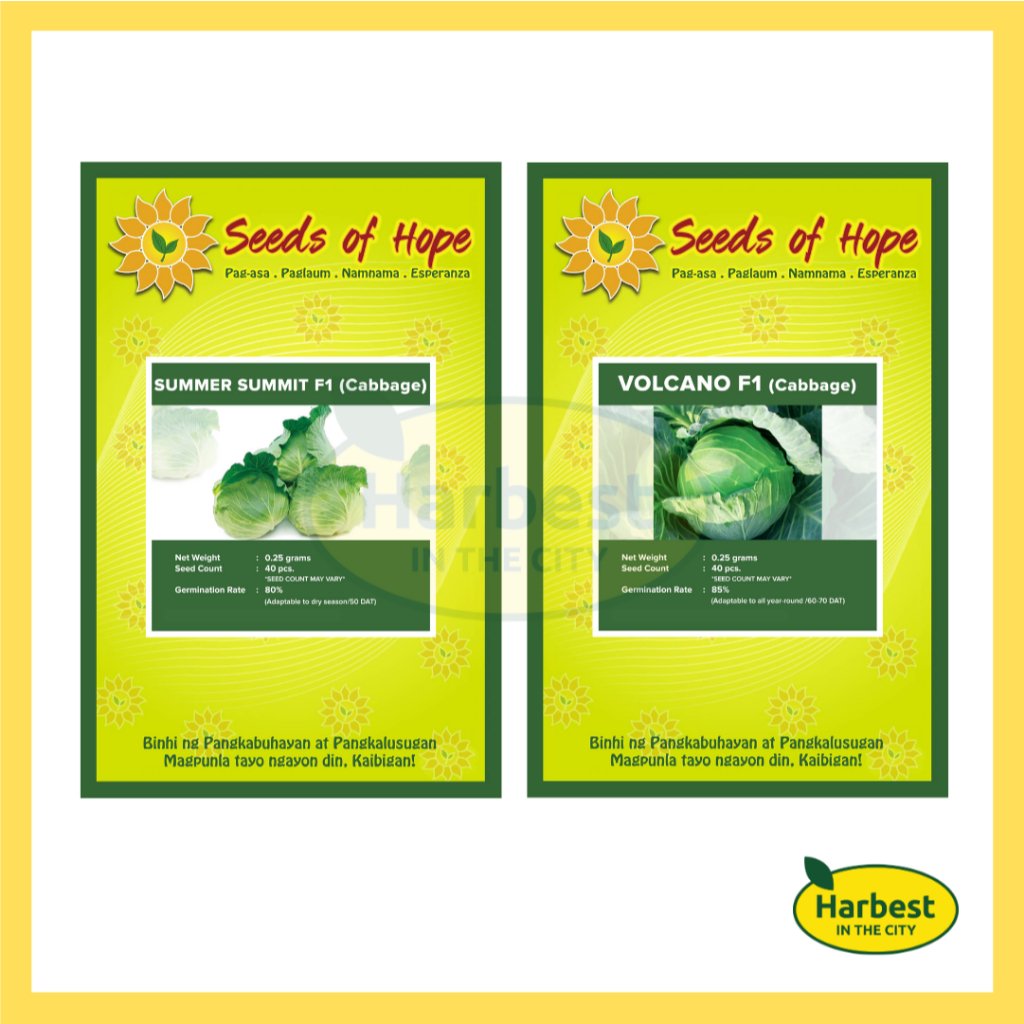 Ph 11134207 7ras8 m3zsx2h8ovdya5.jpeg