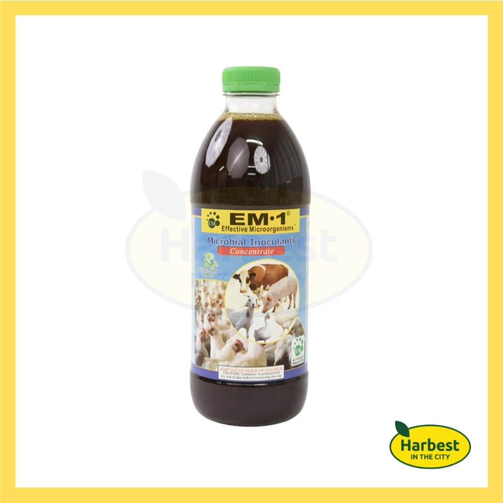 Ph 11134207 7ras8 m4ik6yxv84bve3.jpeg