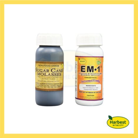 Ph 11134207 7ras8 m4ikuf4jtkxx06.jpeg