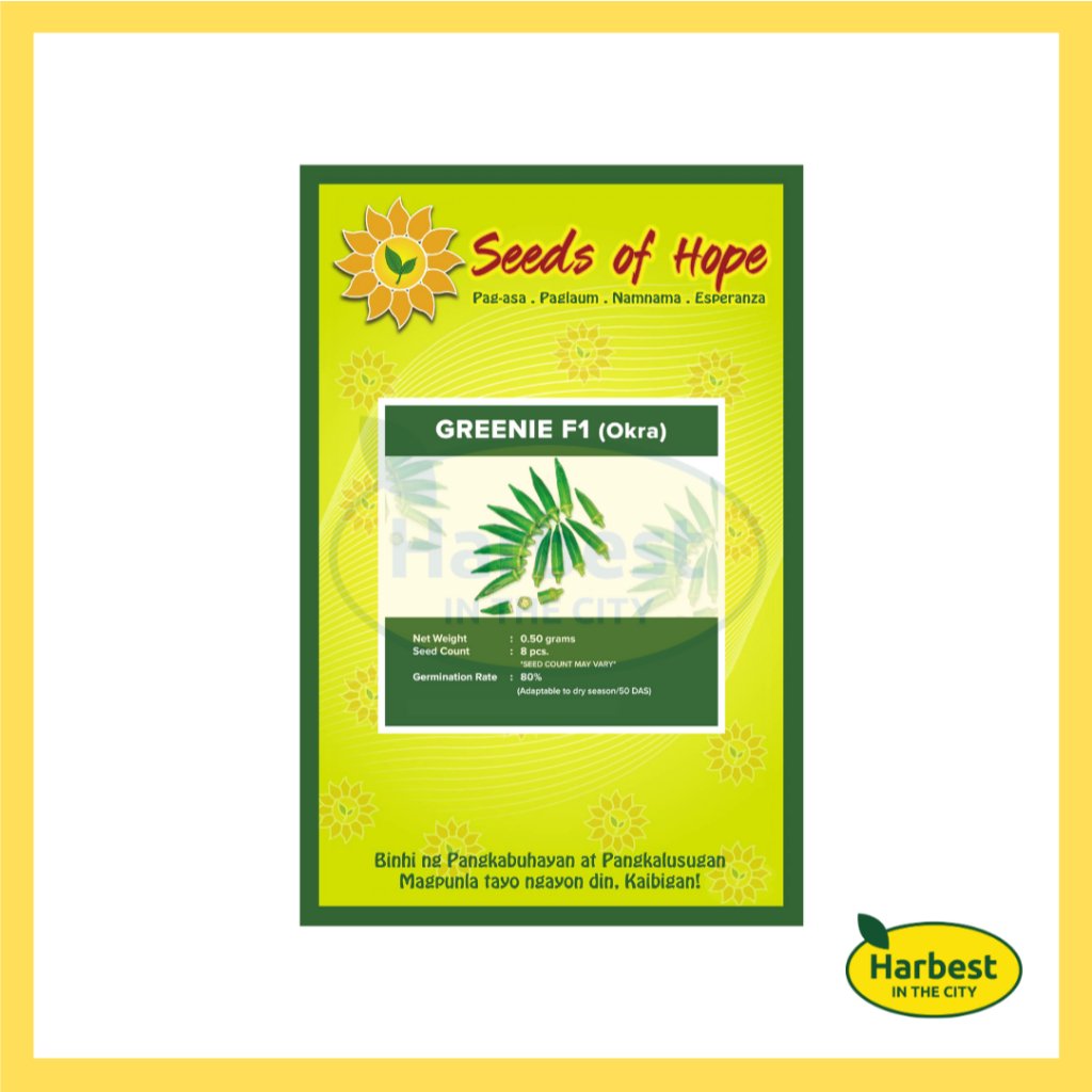 Ph 11134207 7ras8 m4sdnytlhe6yd9.jpeg