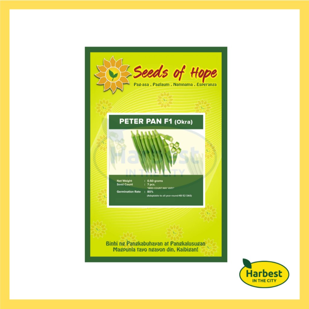 Ph 11134207 7ras8 m4sdnz274sxu65.jpeg