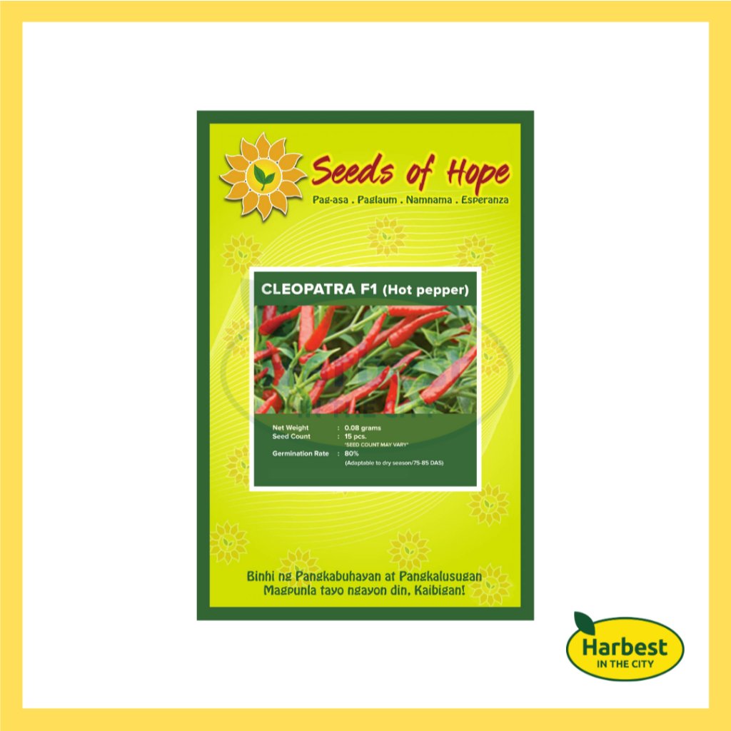 Ph 11134207 7ras8 m55k3vwxe6pu35.jpeg