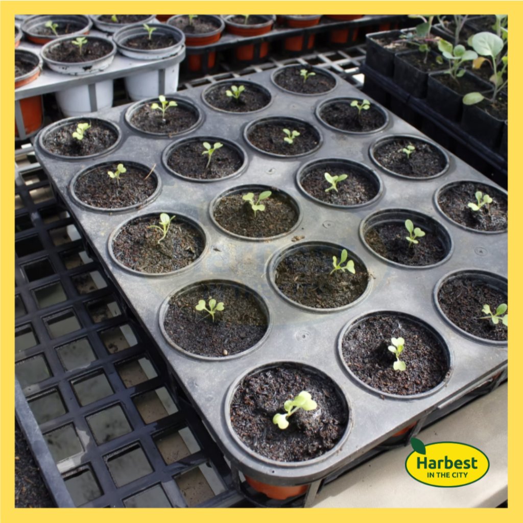 Ph 11134207 7ras8 m8ee11urdcb1b6.jpeg