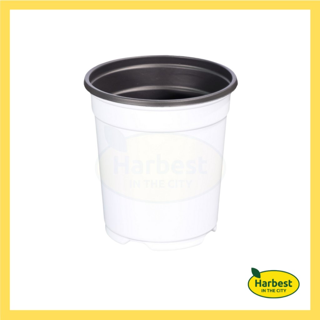 Ph 11134207 7ras8 m8ykl6682466d6.jpeg