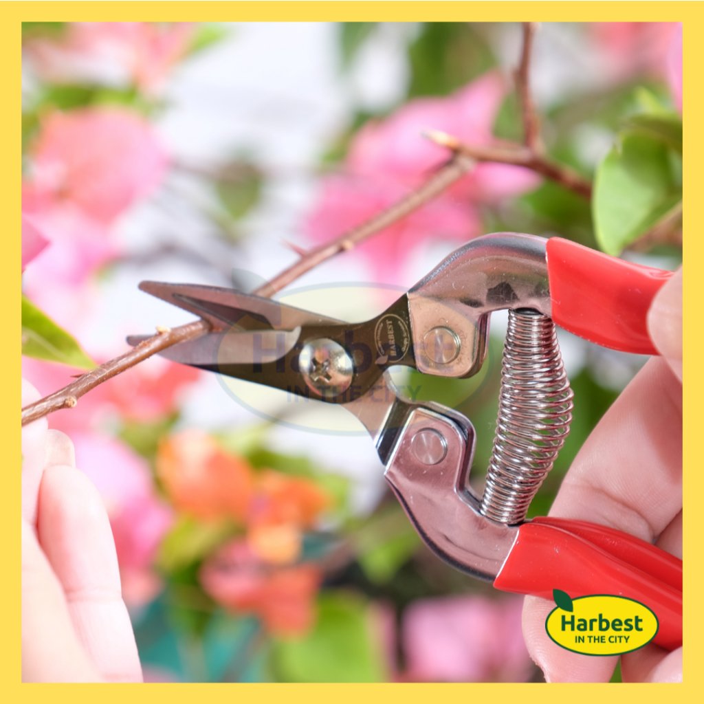 Ph 11134207 7ras8 m9fdue8lzkv558.jpeg