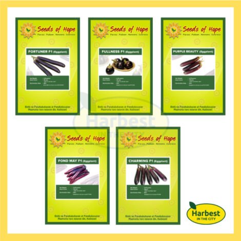 Ph 11134207 7ras9 m4sdxdfzy5xq25.jpeg