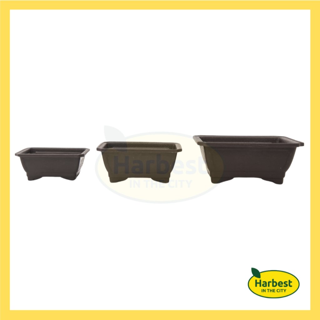 Ph 11134207 7ras9 m53zb27g51kz9e.jpeg