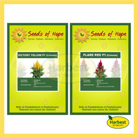 Ph 11134207 7ras9 m55jryrpbg2i21.jpeg