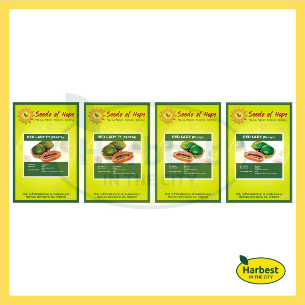 Ph 11134207 7ras9 m59sqj0kkpe624.jpeg