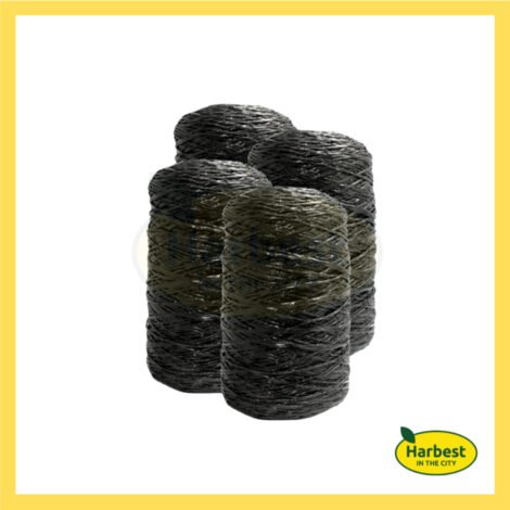 Ph 11134207 7ras9 m5b69obhg6rn5e.jpeg