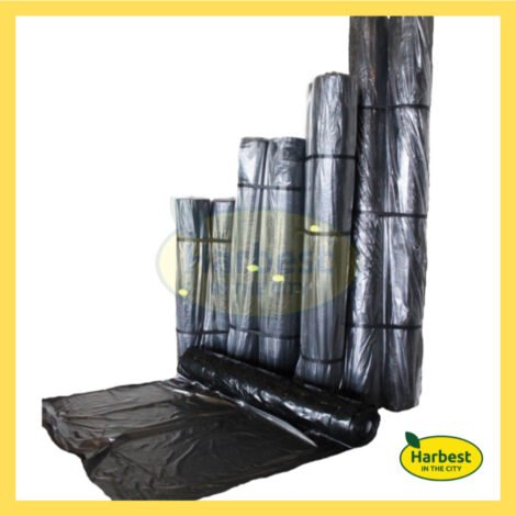 Ph 11134207 7ras9 m8zurs2j4lu578.jpeg