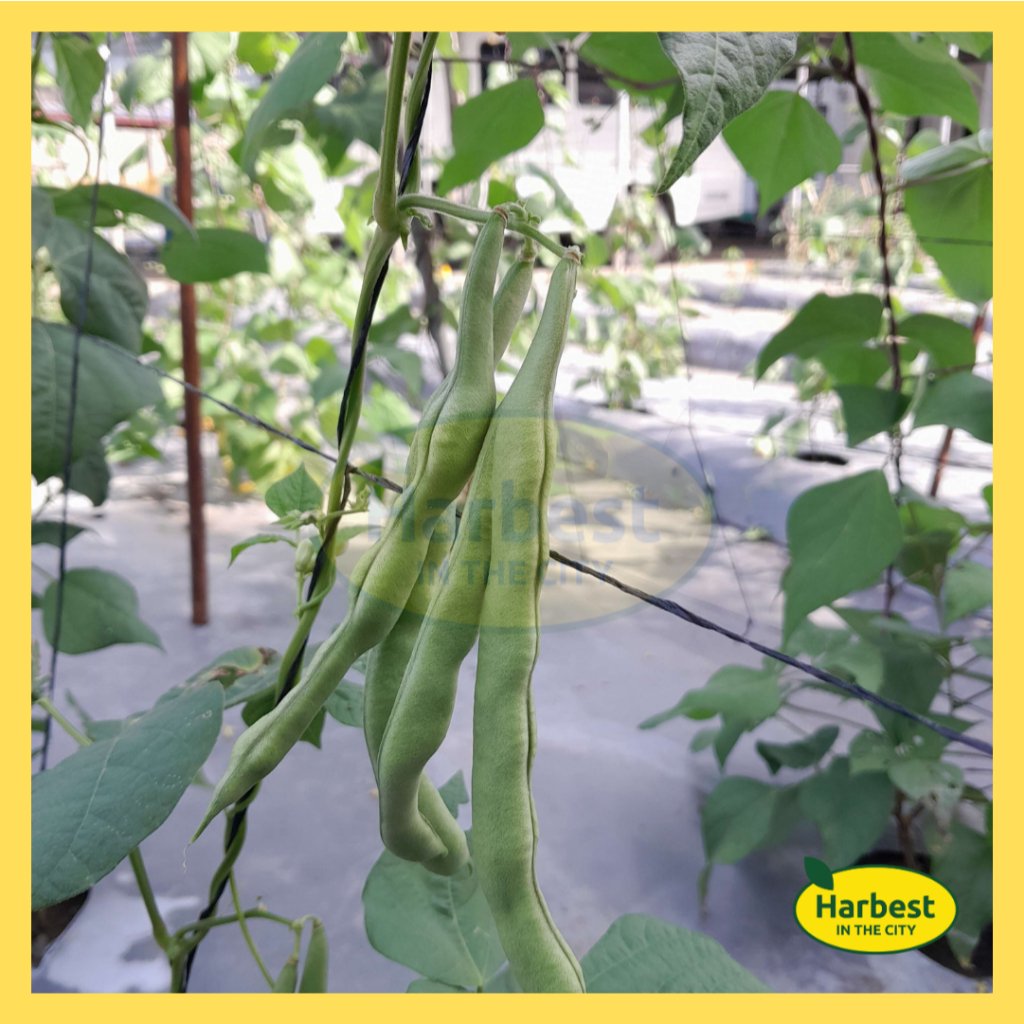 Ph 11134207 7ras9 m9fbu6jubde5c0.jpeg