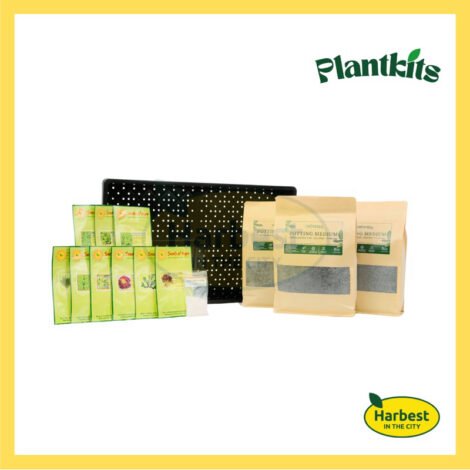 Ph 11134207 7rasa m3kdkk4p223b51.jpeg