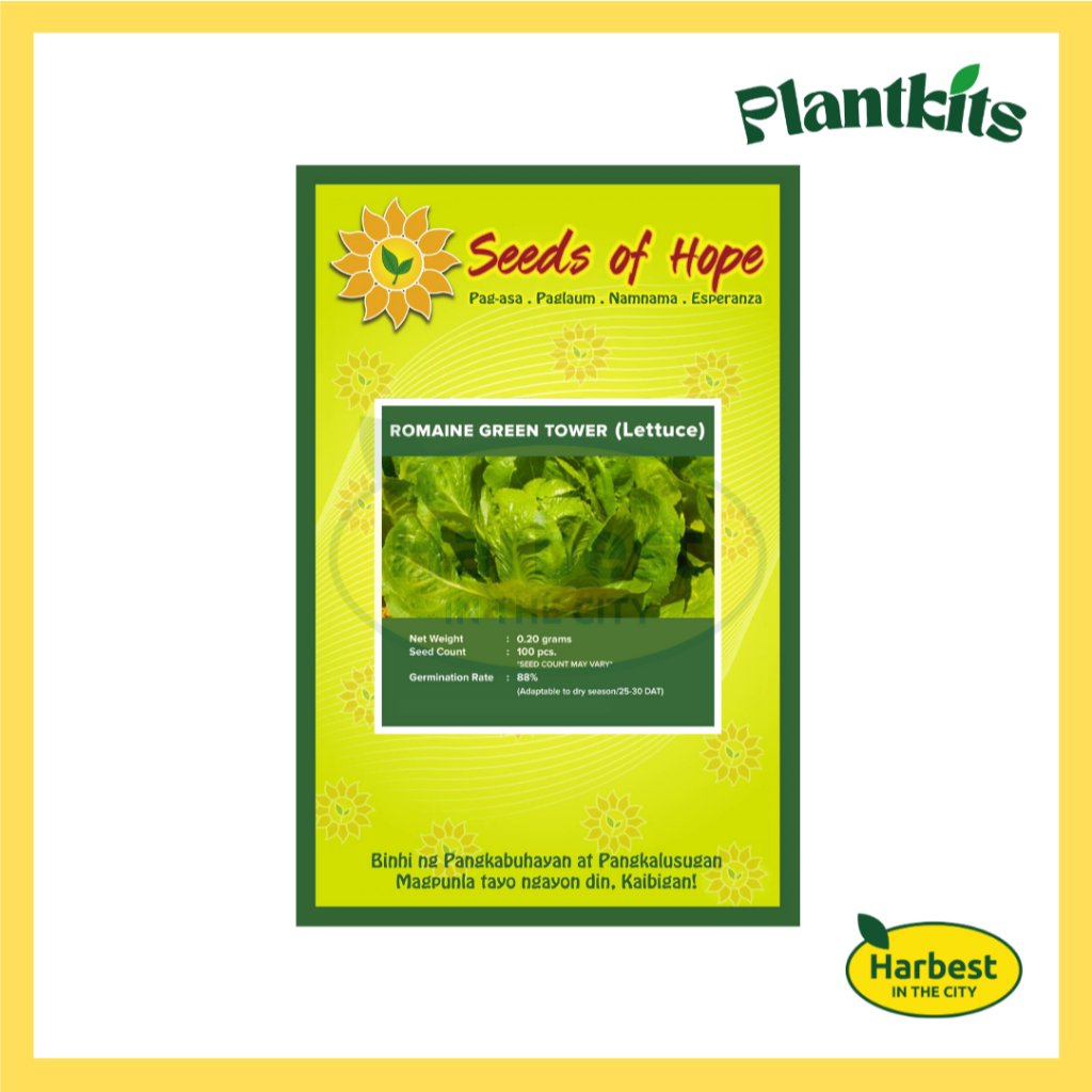 Ph 11134207 7rasa m4r99m8b0iyh93.jpeg