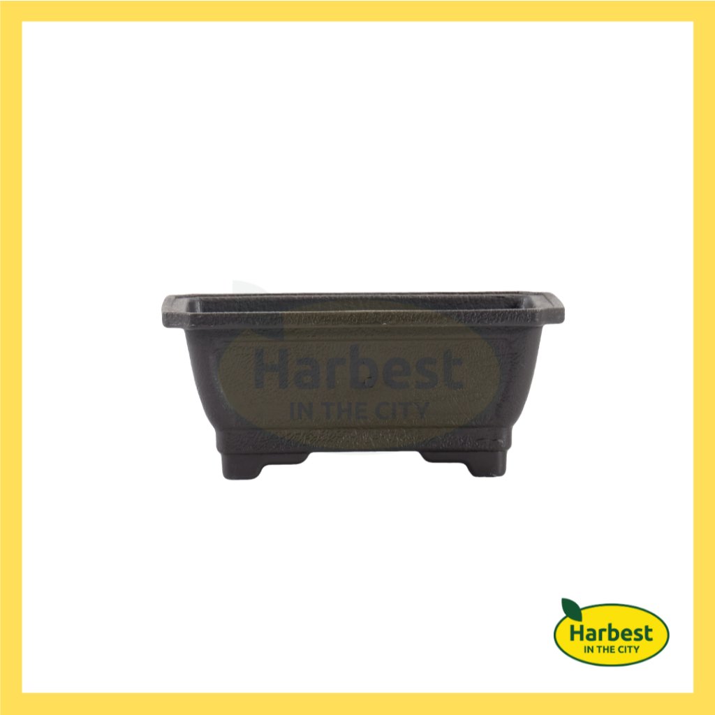 Ph 11134207 7rasa m53pfwunzxhf0b.jpeg