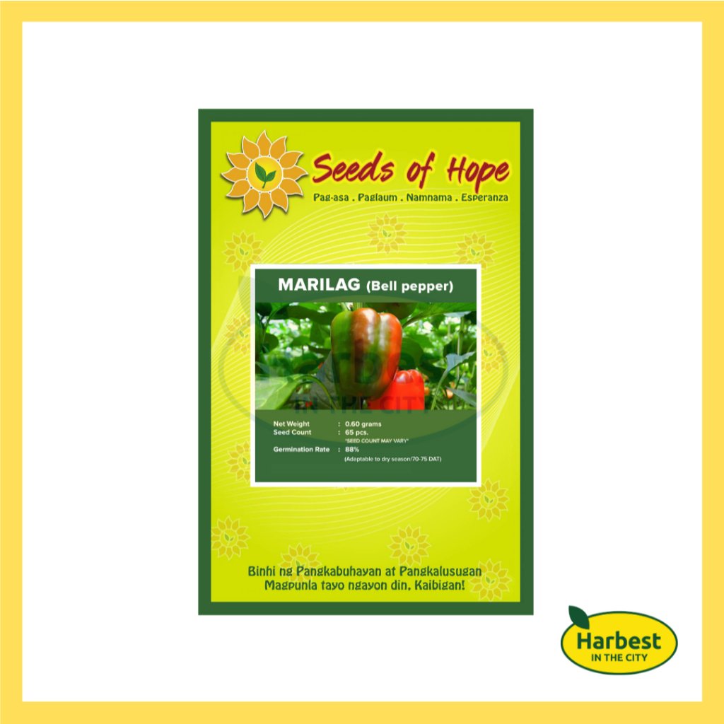 Ph 11134207 7rasa m55i6pm7kawz98.jpeg