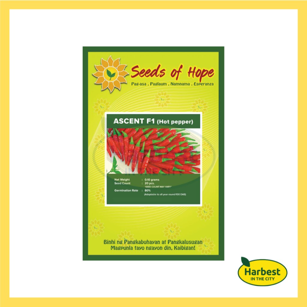 Ph 11134207 7rasa m55k3vwxcs5e29.jpeg