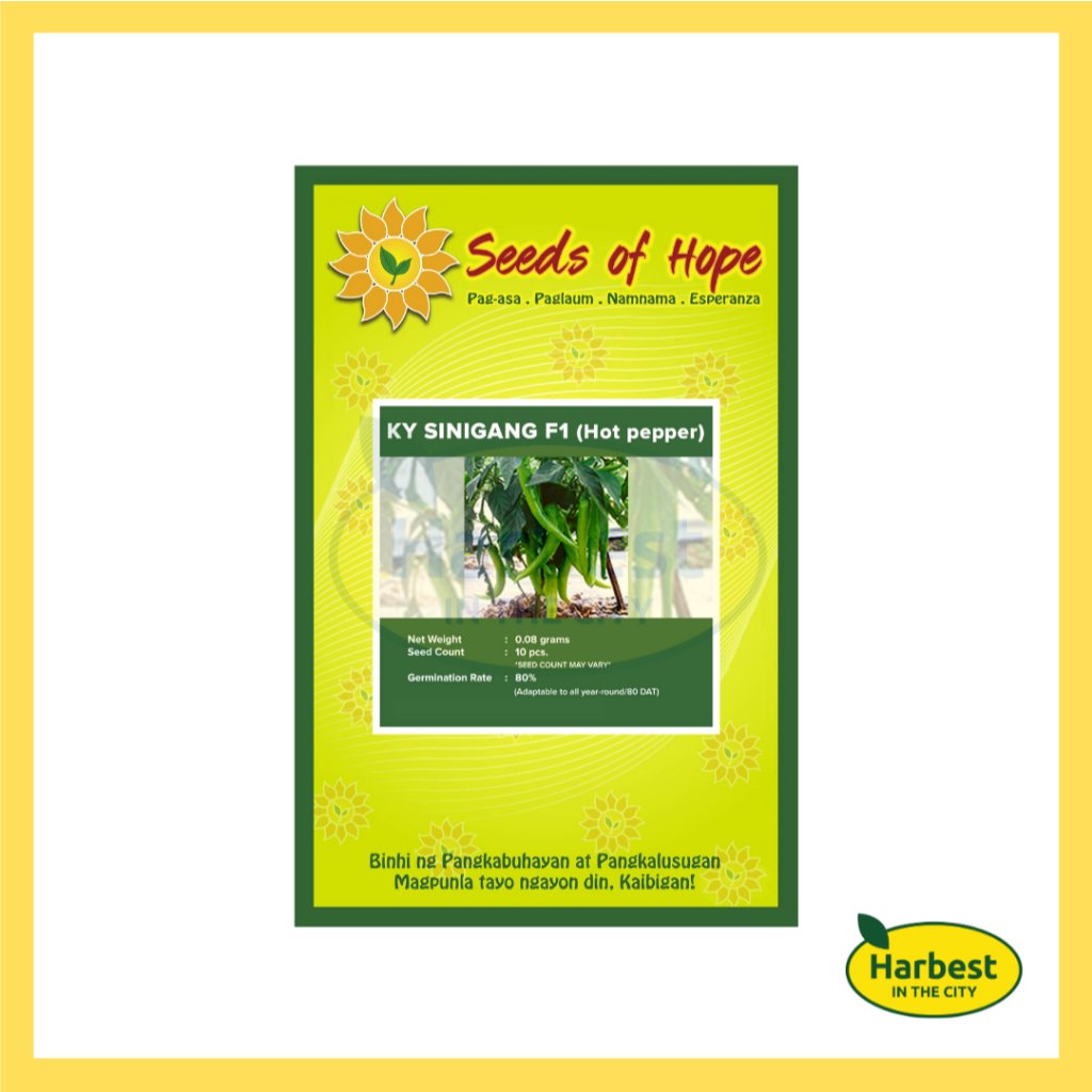 Ph 11134207 7rasa m55k3vwxflaa94.jpeg