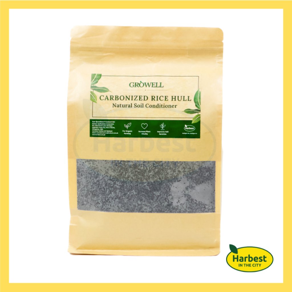 Ph 11134207 7rasa m59nmrl1hwebaf.jpeg