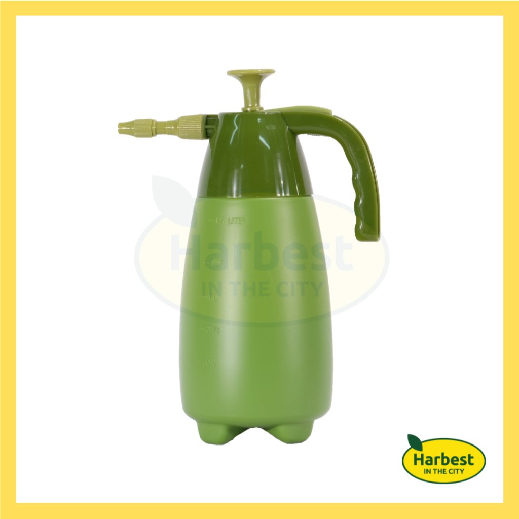 Ph 11134207 7rasa m6douh5oh4025d.jpeg