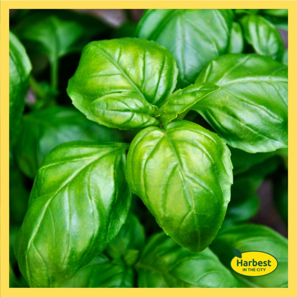 Ph 11134207 7rasa m8e6pdgoc46rae.jpeg