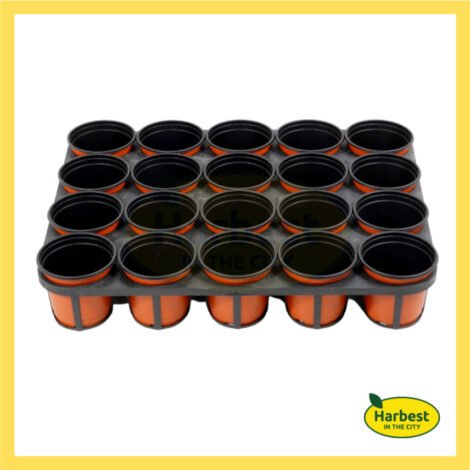 Ph 11134207 7rasa m8ee0tymx4el65.jpeg