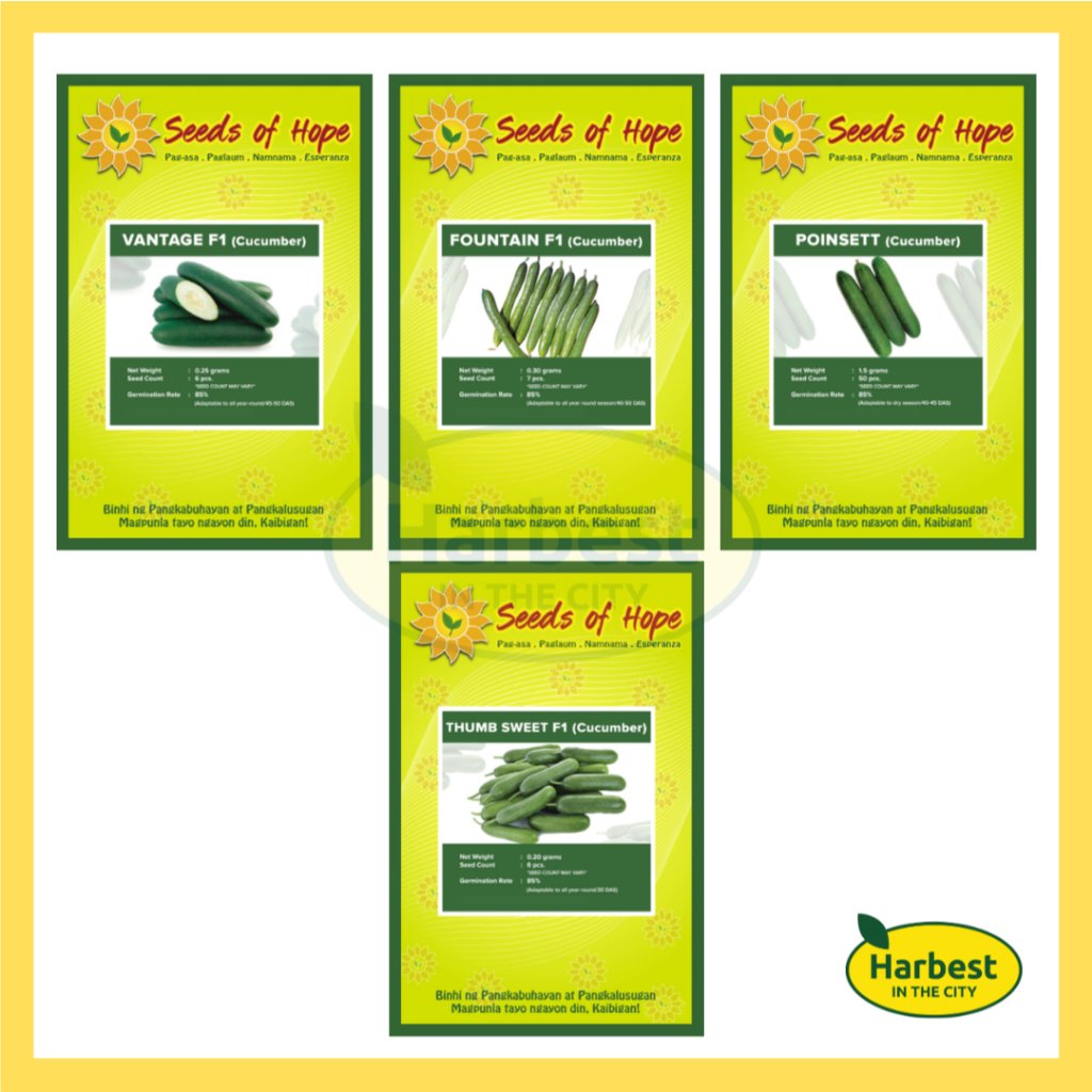 Ph 11134207 7rasa m8my5mvhup83ae.jpeg