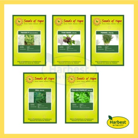 Ph 11134207 7rasa m8yiav7pznsj63.jpeg