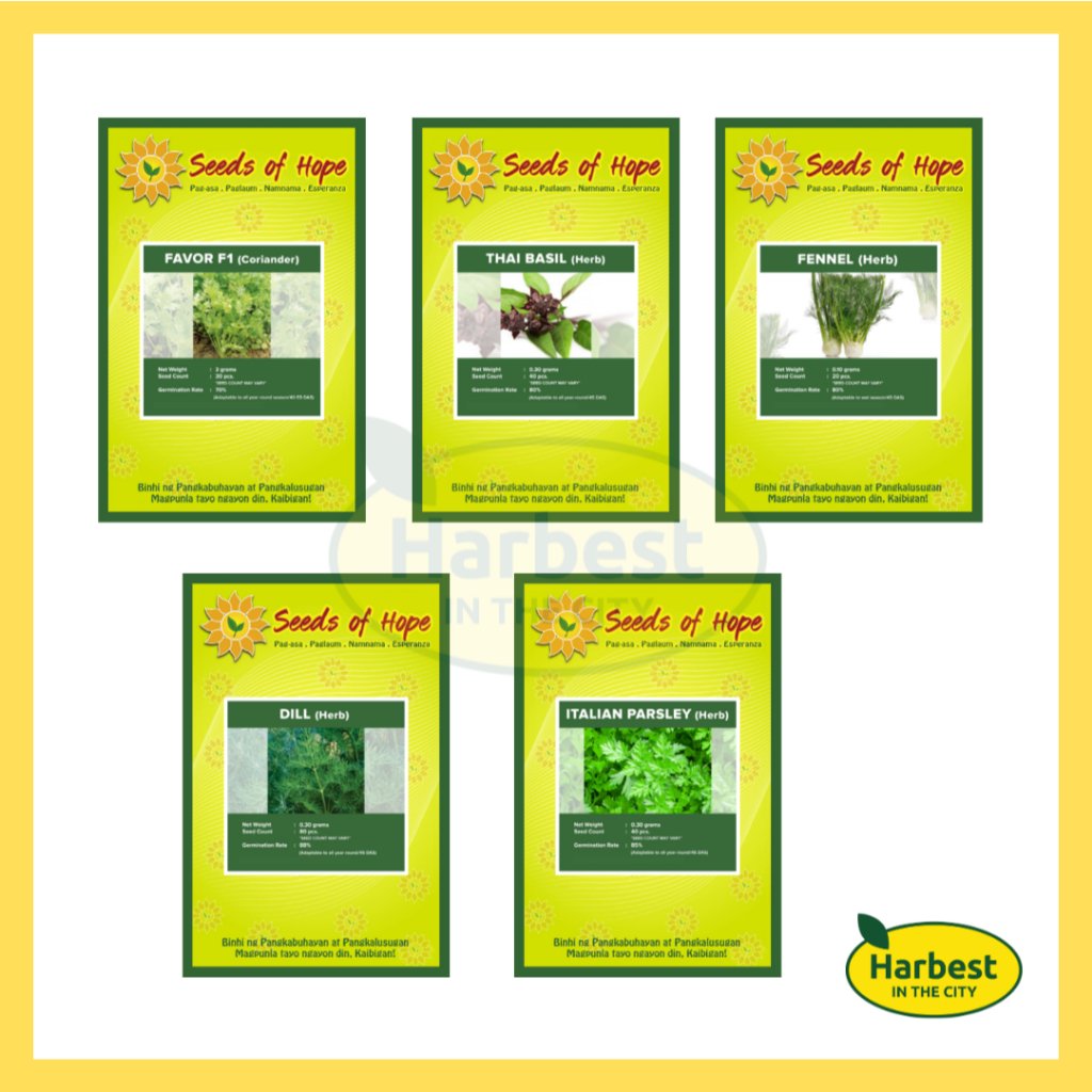 Ph 11134207 7rasa m8yiav7pznsj63.jpeg