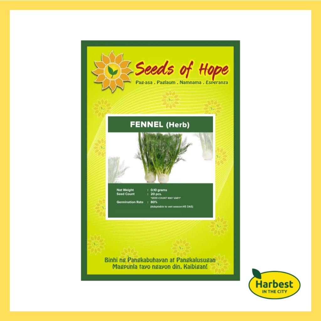 Ph 11134207 7rasa m8yib0l44ns1d4.jpeg