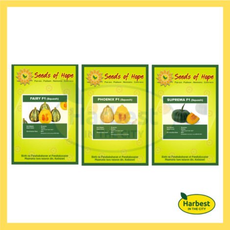 Ph 11134207 7rasb m3yeaew55ndrb3.jpeg