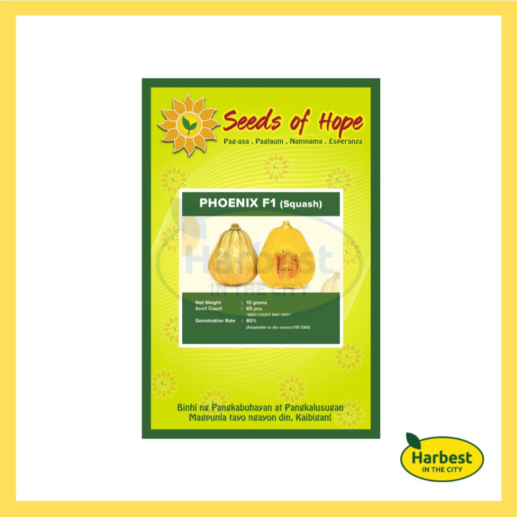 Ph 11134207 7rasb m3yejl7ftixj56.jpeg