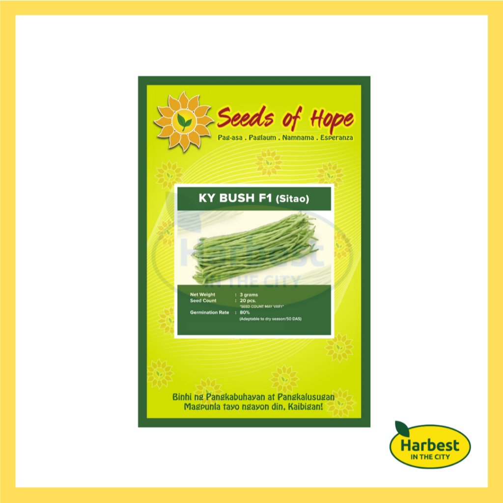 Ph 11134207 7rasb m3yktg0xb8d373.jpeg