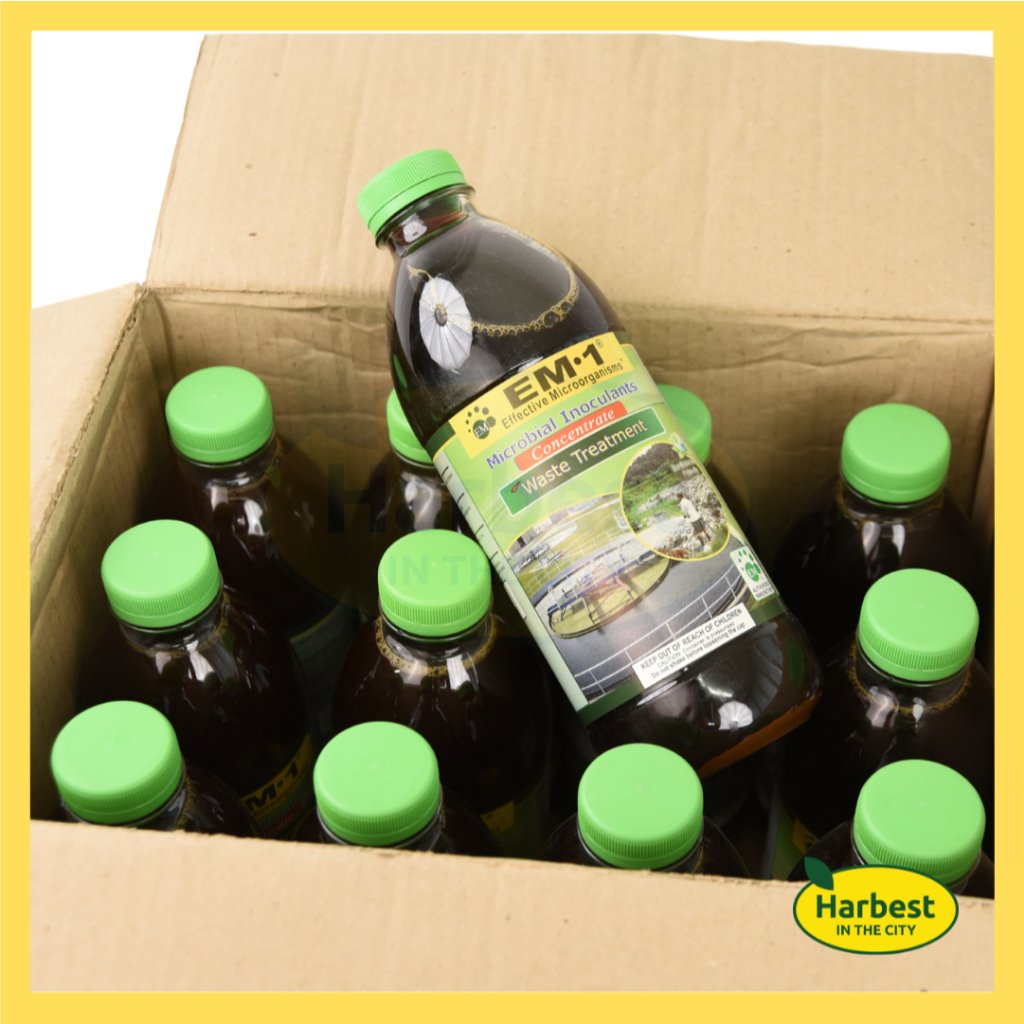 Ph 11134207 7rasb m4ik6yxv84c94e.jpeg