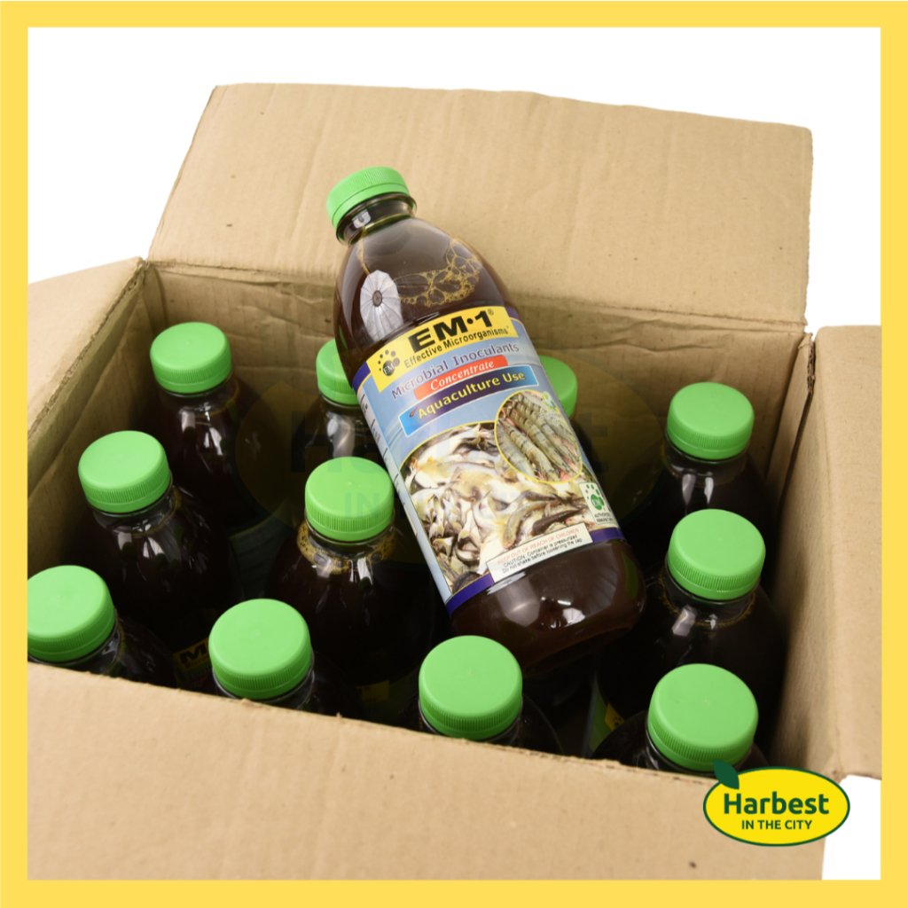 Ph 11134207 7rasb m4ik6yxvaxh513.jpeg