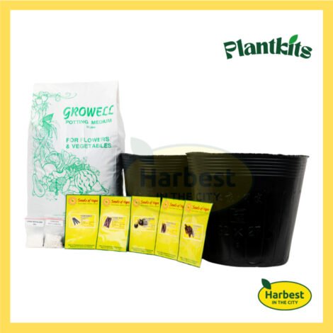 Ph 11134207 7rasb m4scbtbo8wl51b.jpeg