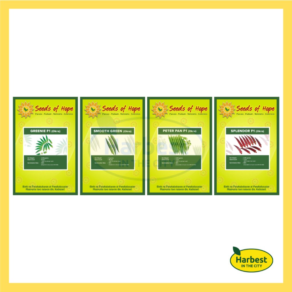 Ph 11134207 7rasb m4sdnsq4ekci4f.jpeg