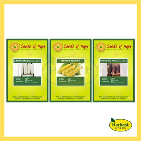 Ph 11134207 7rasb m4shmz9dd66mc2.jpeg