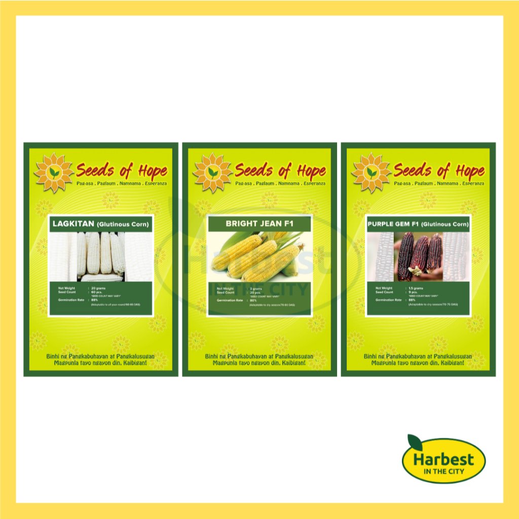 Ph 11134207 7rasb m4shmz9dd66mc2.jpeg