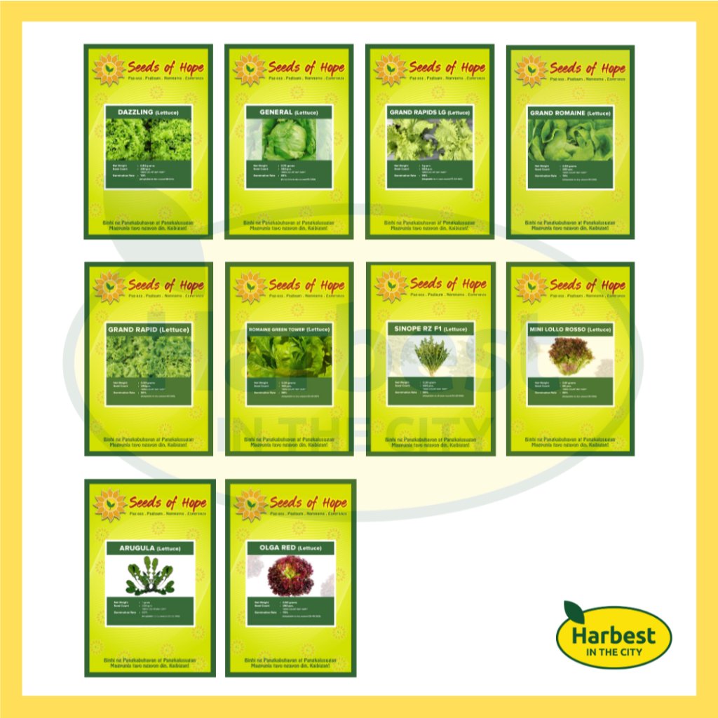 Ph 11134207 7rasb m5459sshaeteb5.jpeg