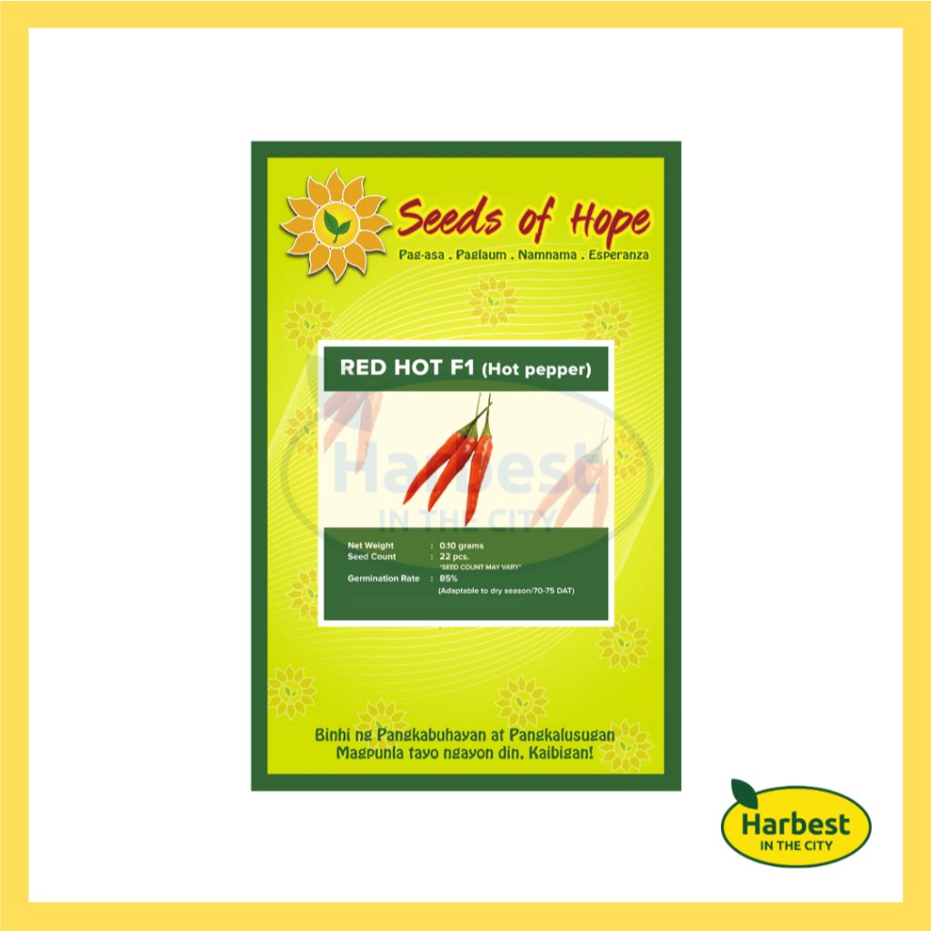 Ph 11134207 7rasb m55k3vwxe6u2b7.jpeg