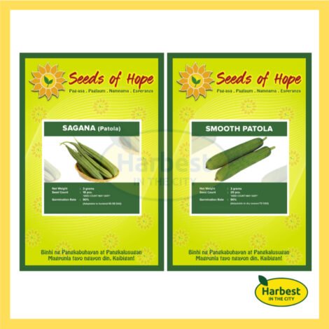 Ph 11134207 7rasb m59urinpc8eace.jpeg