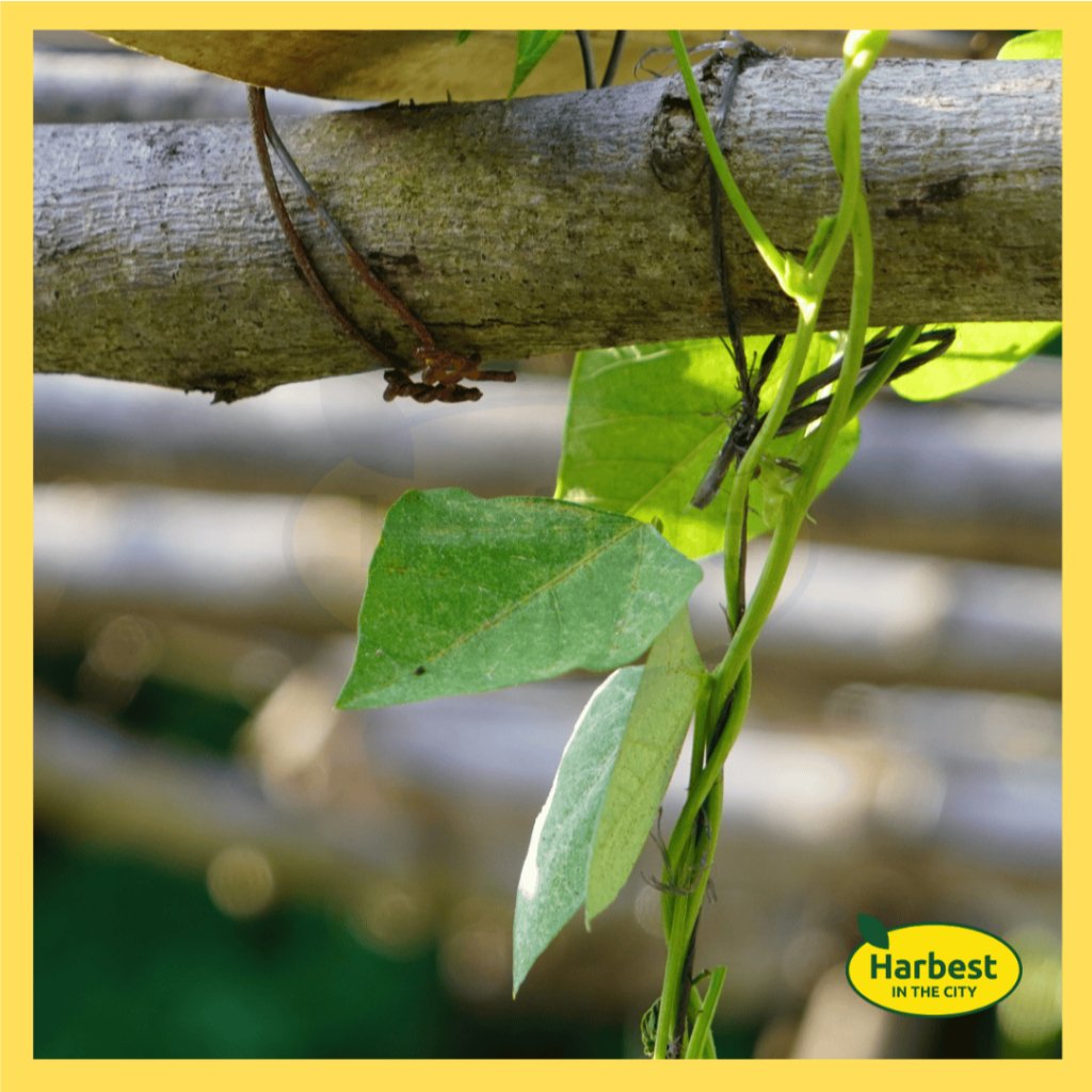 Ph 11134207 7rasb m5b6edaw5utf95.jpeg