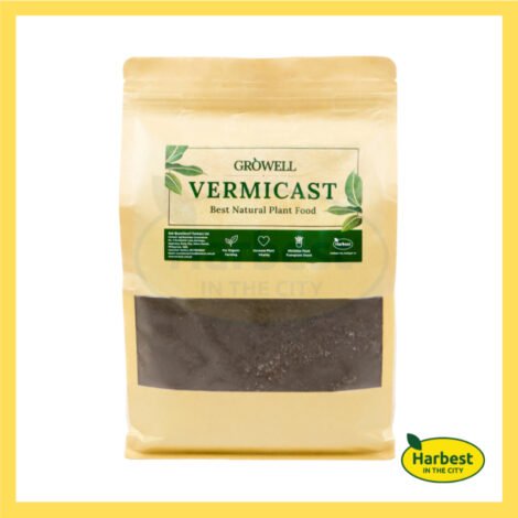 Ph 11134207 7rasb m64wn1om8geyd2.jpeg