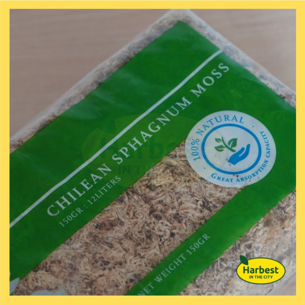 Ph 11134207 7rasb m6drenvdz7rud4.jpeg