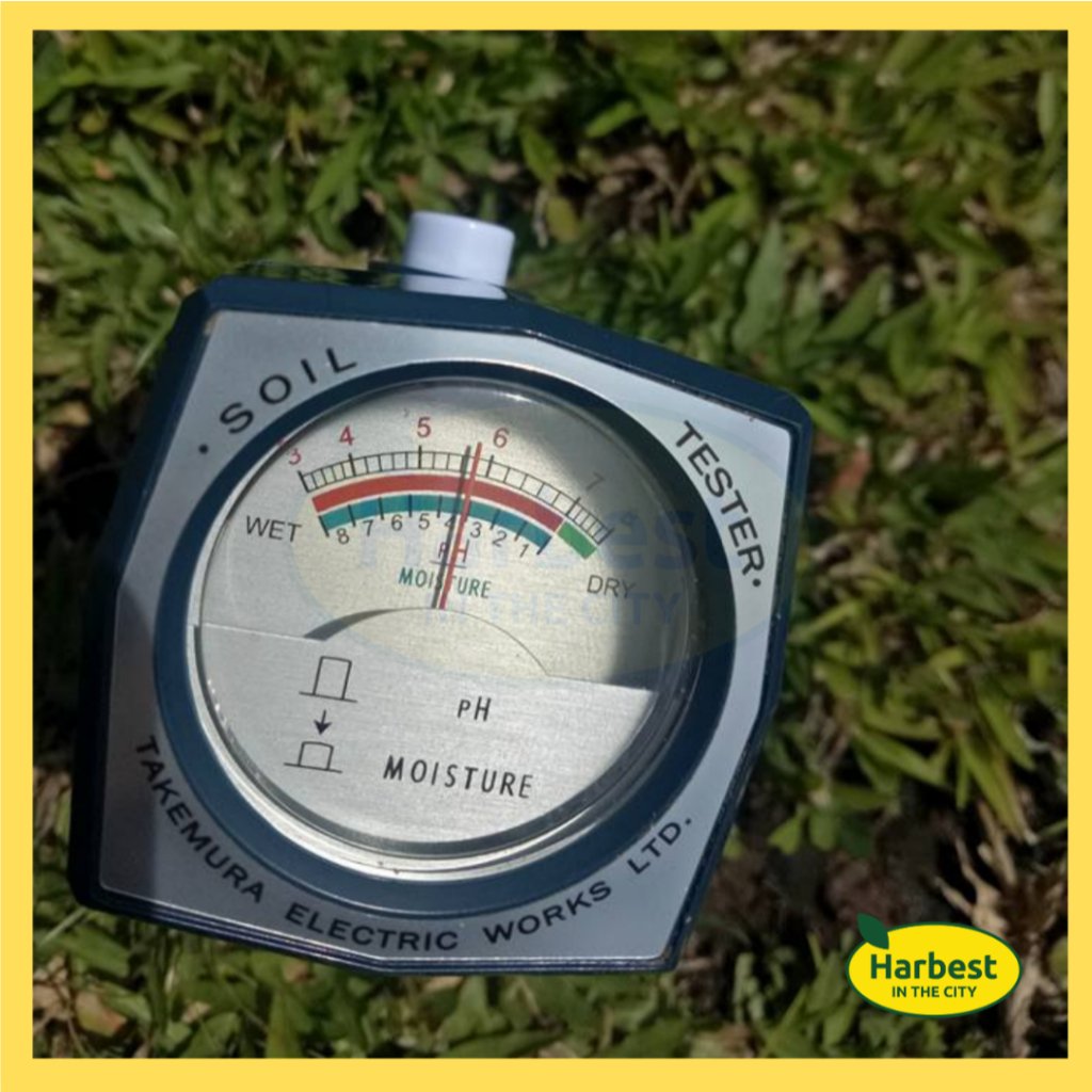 Ph 11134207 7rasb m71o9a5q50uta3.jpeg