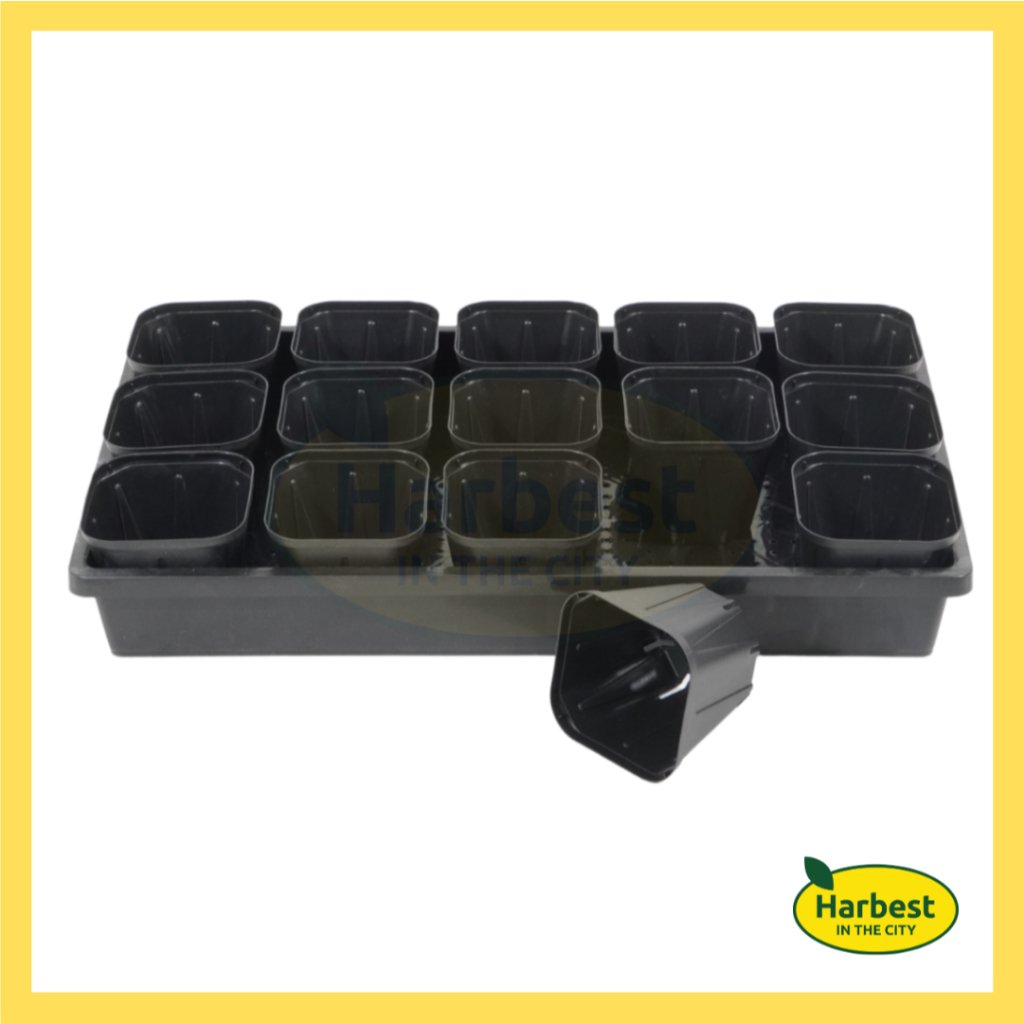 ph-11134207-7rasb-m8e60t5iezrhe7.jpeg Ph 11134207 7rasb m8e60t5iezrhe7.jpeg