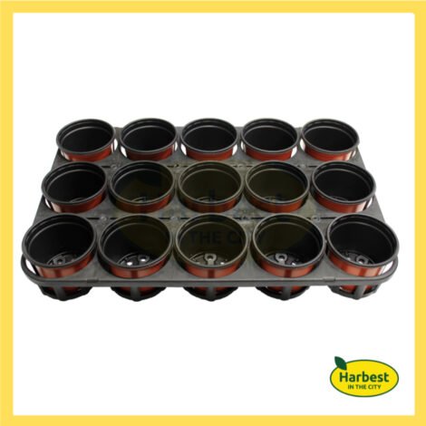 Ph 11134207 7rasb m8eetrtgaft925.jpeg